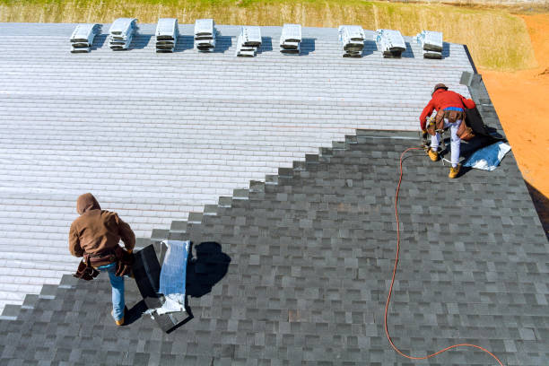 Best Roof Insulation Installation  in Skokie, IL